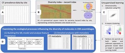 Machine-learning based approach to examine ecological processes influencing the diversity of riverine dissolved organic matter composition